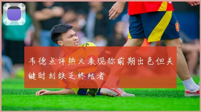 韦德点评热火表现称前期出色但关键时刻缺乏终结者
