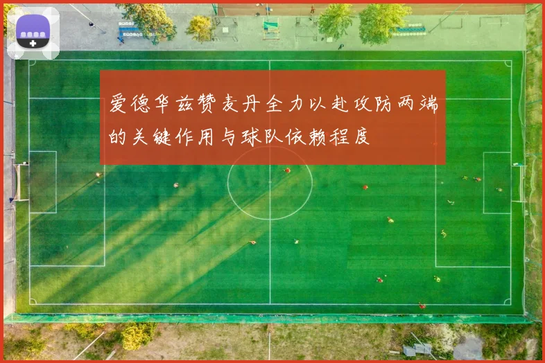 爱德华兹赞麦丹全力以赴攻防两端的关键作用与球队依赖程度