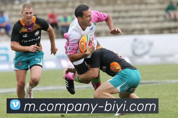 必一运动平台生态图