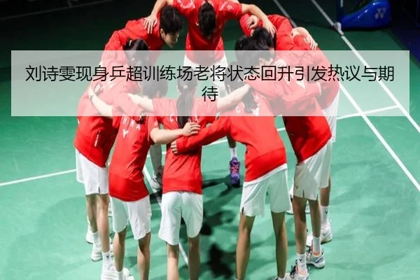 刘诗雯现身乒超训练场老将状态回升引发热议与期待 - BSports
